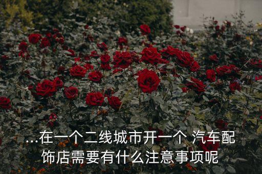 ...在一个二线城市开一个 汽车配饰店需要有什么注意事项呢