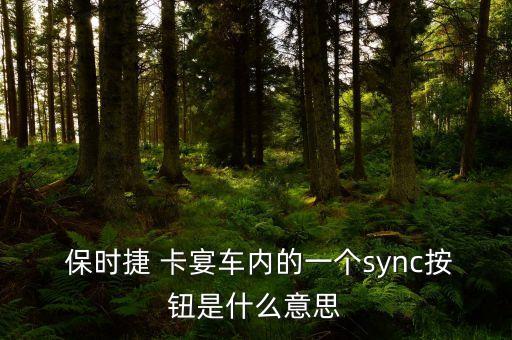 保时捷卡宴空调怎么开