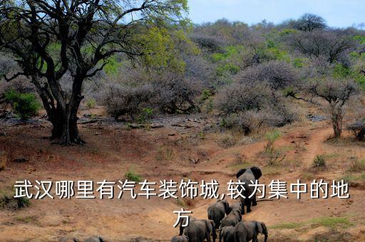 武汉哪里有汽车装饰城,较为集中的地方