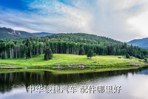 中华骏捷汽车 配件哪里好
