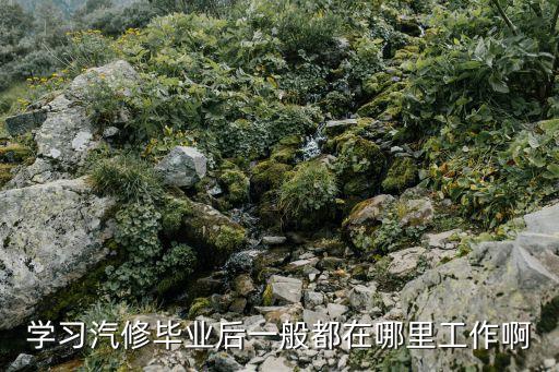 学习汽修毕业后一般都在哪里工作啊
