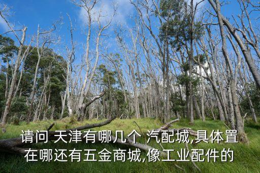 请问 天津有哪几个 汽配城,具体置在哪还有五金商城,像工业配件的