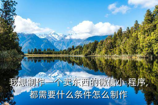 我想制作一个卖东西的微信小 程序,都需要什么条件怎么制作