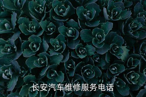 修理厂logo图片大全,药房标志图片大全LOGO