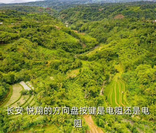 长安 悦翔的方向盘按键是电阻还是电阻