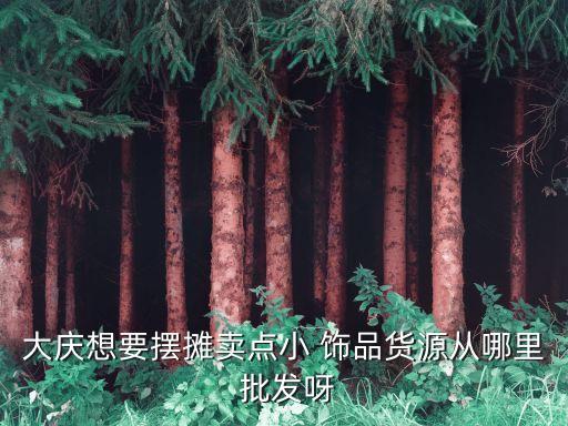 大庆想要摆摊卖点小 饰品货源从哪里 批发呀