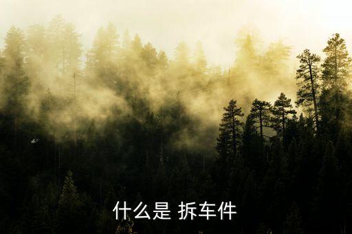 什么是 拆车件