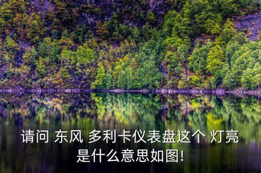 请问 东风 多利卡仪表盘这个 灯亮是什么意思如图!
