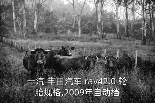 一汽 丰田汽车 rav42.0 轮胎规格,2009年自动档
