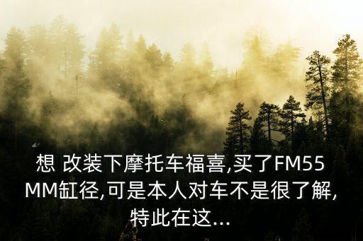想 改装下摩托车福喜,买了FM55MM缸径,可是本人对车不是很了解,特此在这...