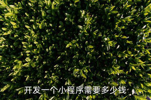 小程序开发费用一览表什么价格