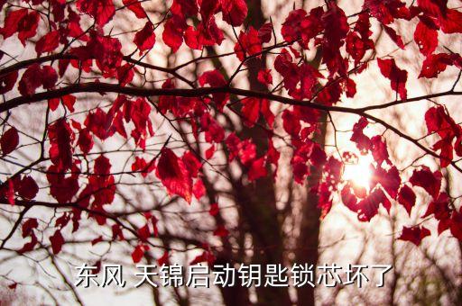  东风 天锦启动钥匙锁芯坏了