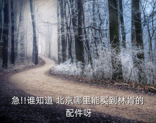 急!!谁知道 北京哪里能买到林肯的 配件呀