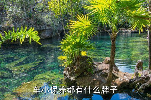 车小保养都有什么牌子