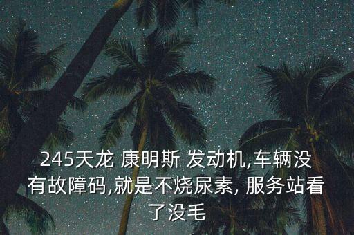 245天龙 康明斯 发动机,车辆没有故障码,就是不烧尿素, 服务站看了没毛
