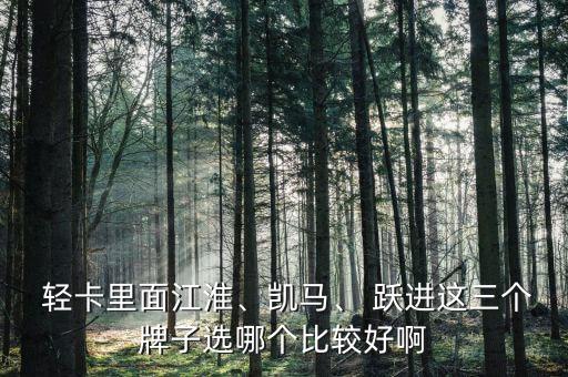  轻卡里面江淮、凯马、 跃进这三个牌子选哪个比较好啊