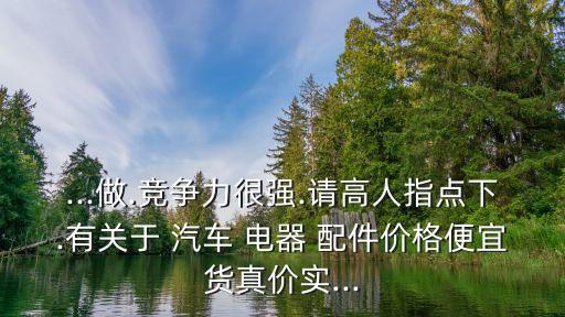 ...做.竞争力很强.请高人指点下.有关于 汽车 电器 配件价格便宜货真价实...