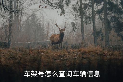  车架号怎么查询车辆信息