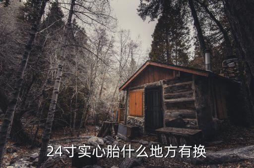 24寸实心胎什么地方有换
