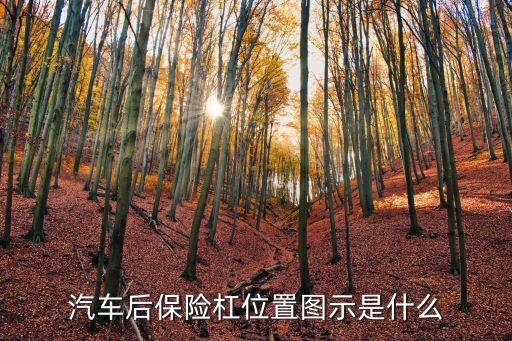 车辆保险杠在哪里,前保险杠图片
