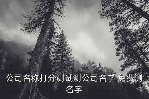 公司名称打分测试测公司名字 免费测名字