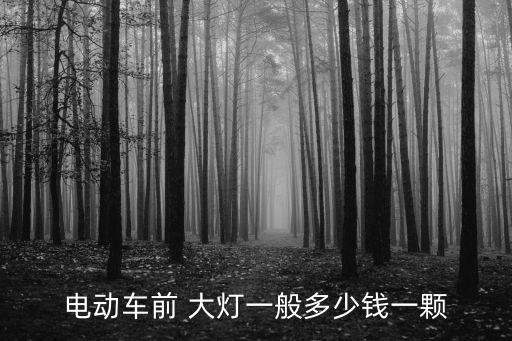 电动车前 大灯一般多少钱一颗