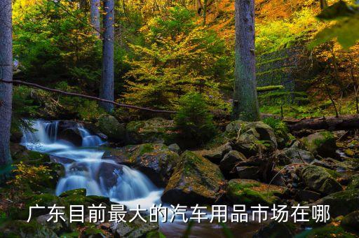 广东目前最大的汽车用品市场在哪