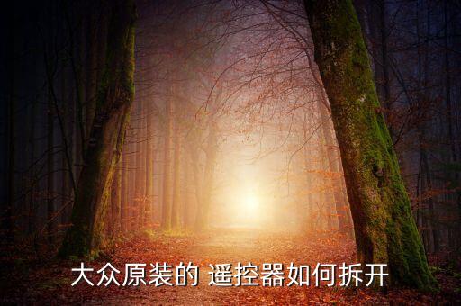 polo遥控器怎么拆,Polo收音机怎么拆