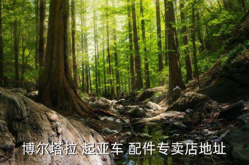 博尔塔拉 起亚车 配件专卖店地址