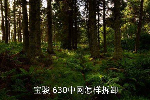 宝骏630保险杠怎么拆