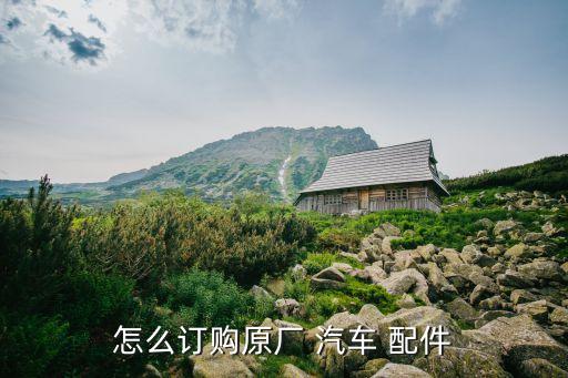 怎么订购原厂 汽车 配件