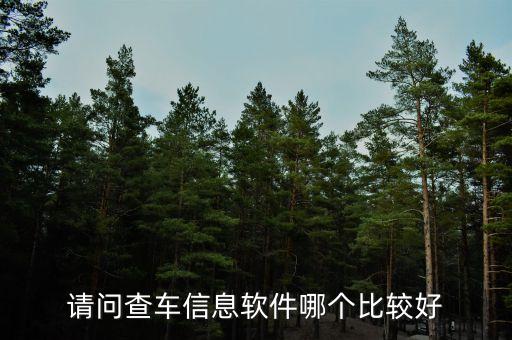 请问查车信息软件哪个比较好