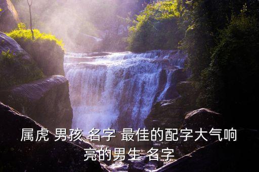 虎宝宝取名字最佳字男孩