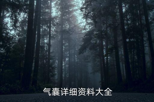  气囊详细资料大全