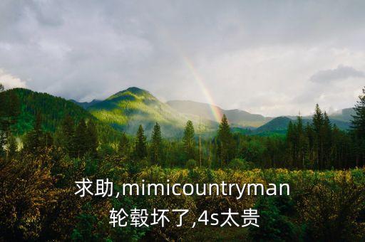 求助,mimicountryman 轮毂坏了,4s太贵