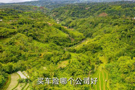 上门修车服务市场份额,怎么叫上门修车服务