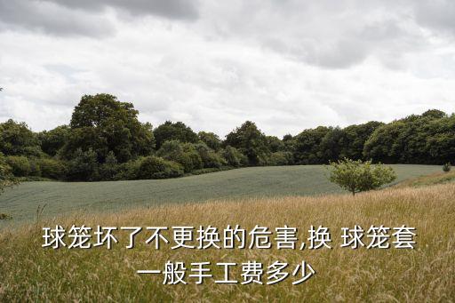  球笼坏了不更换的危害,换 球笼套一般手工费多少