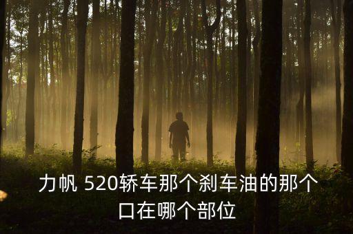 力帆520汽车配件 报价