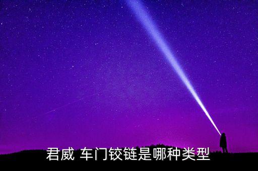 君威 车门铰链是哪种类型