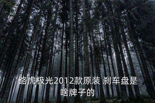 路虎极光2012款原装 刹车盘是啥牌子的