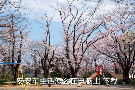 安安车生活怎么在电脑上 下载