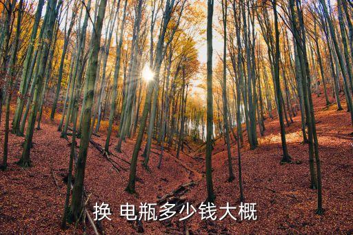 换 电瓶多少钱大概