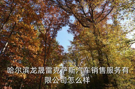  哈尔滨龙晟雷克萨斯汽车销售服务有限公司怎么样
