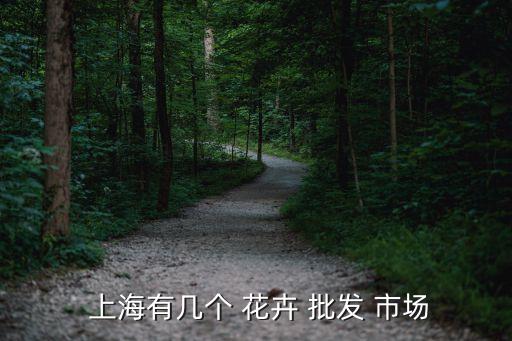  上海有几个 花卉 批发 市场