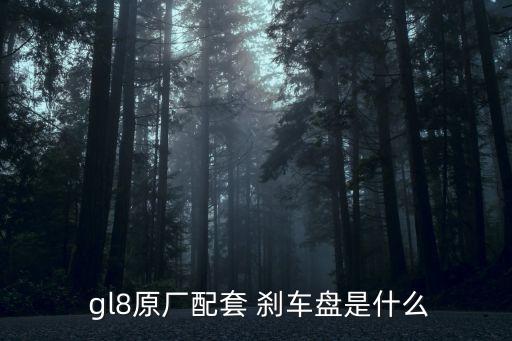  gl8原厂配套 刹车盘是什么