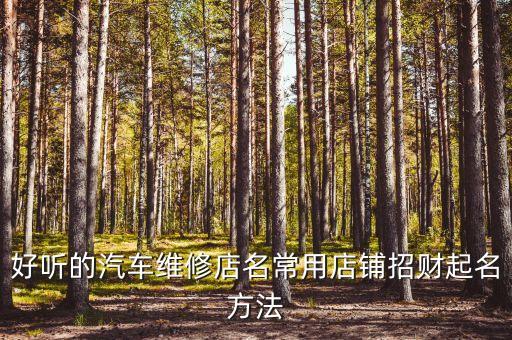 好听的汽车维修店名常用店铺招财起名方法