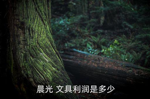  晨光 文具利润是多少