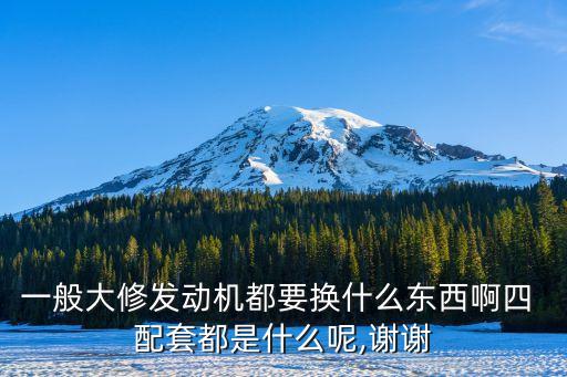 一般大修发动机都要换什么东西啊四 配套都是什么呢,谢谢
