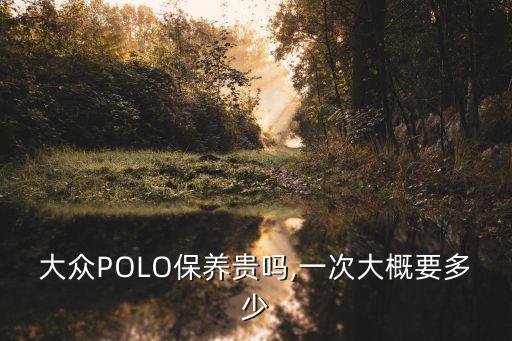 大众POLO保养贵吗,一次大概要多少