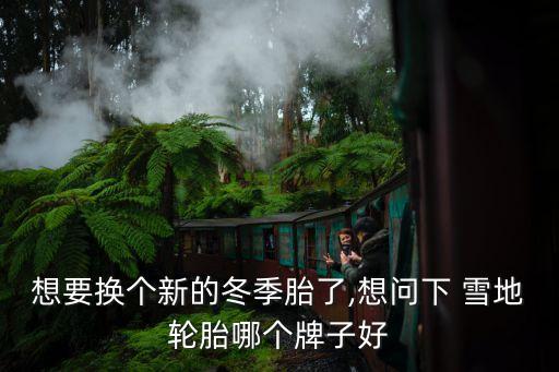 邓禄普雪地胎235一50一19多少钱